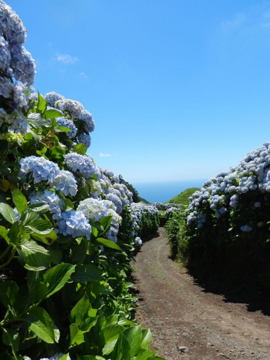 Walk along the crest of the crater ...