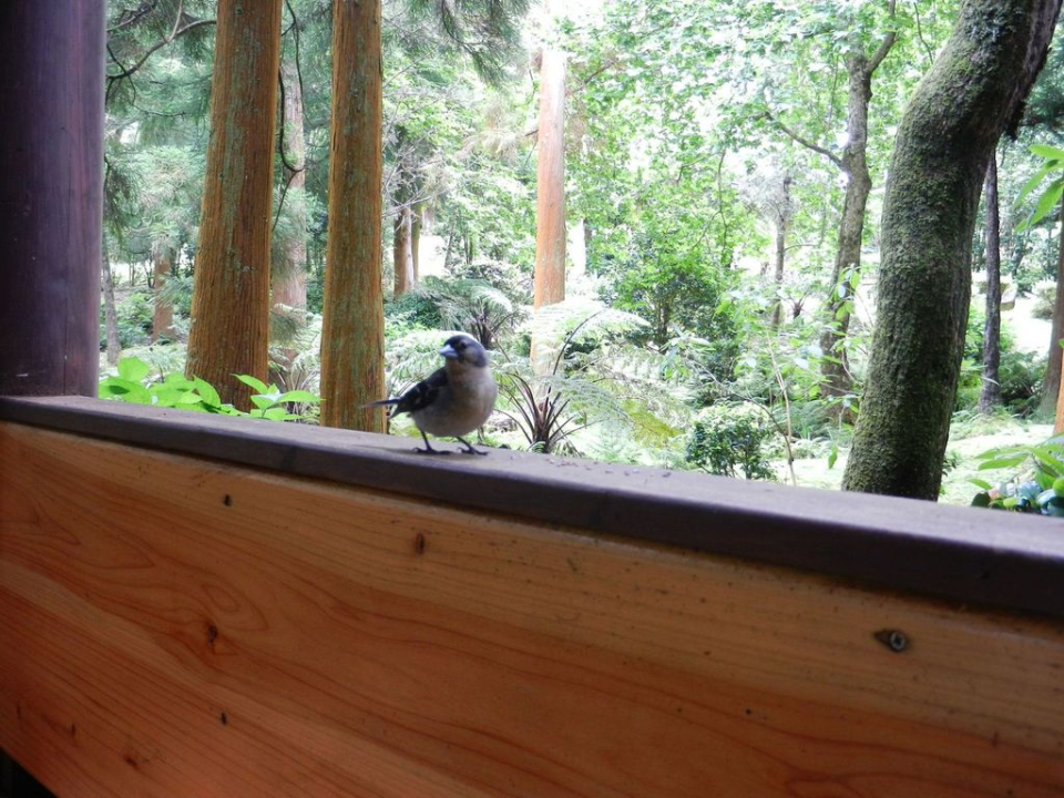 ... so we stopped to have some lunch ... with visitors