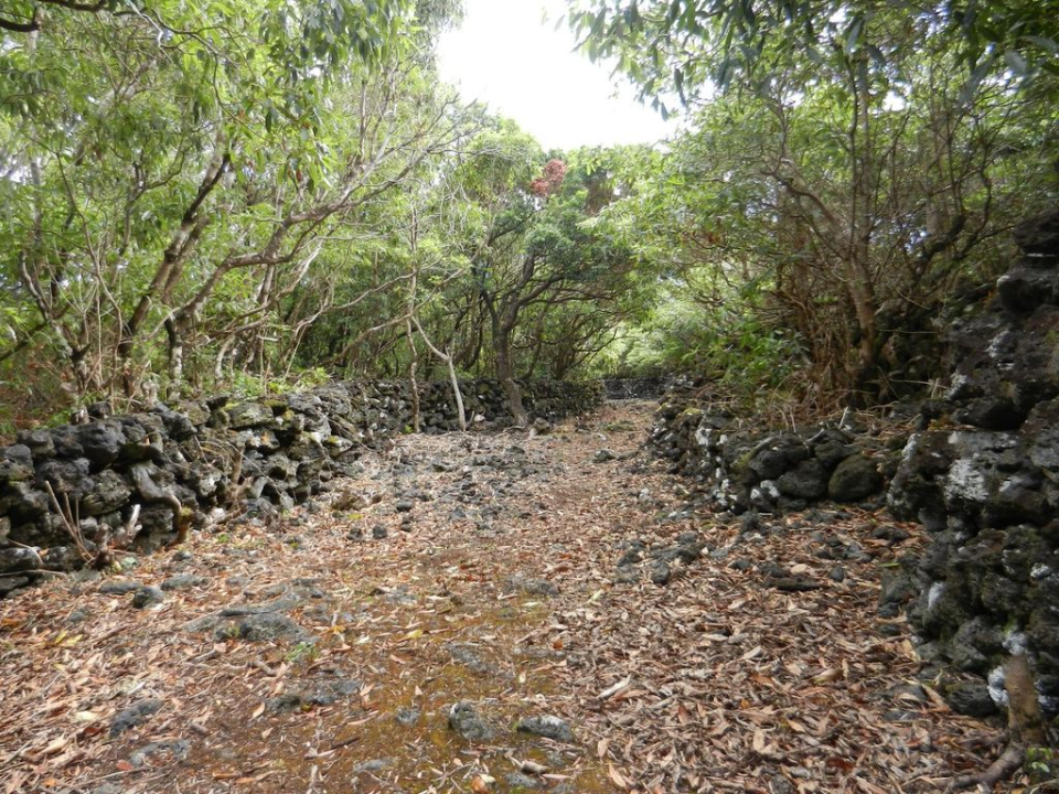 We decided to explore the east coast of the island, near our Bed & Breakfast