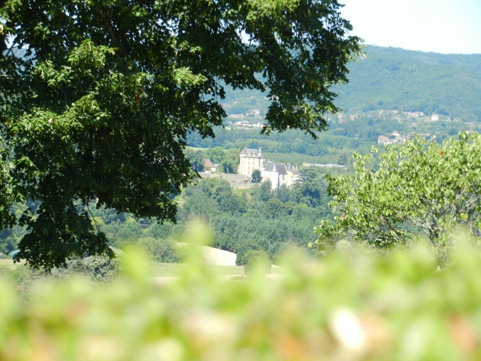 A good look on the castle of Fayrac.