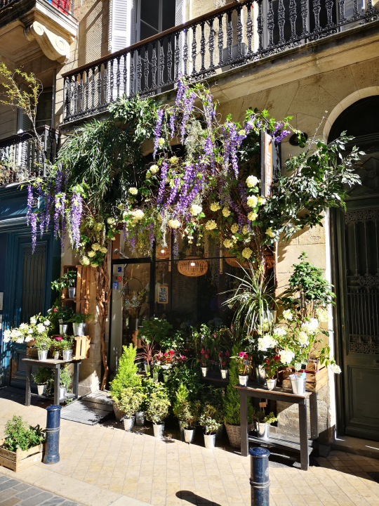 A pretty little florist shop we encountered on our tour.